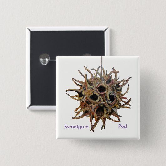 Sweetgum Pod Button (Voorkant /achterkant)