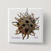 Sweetgum Pod Button (Voorkant)