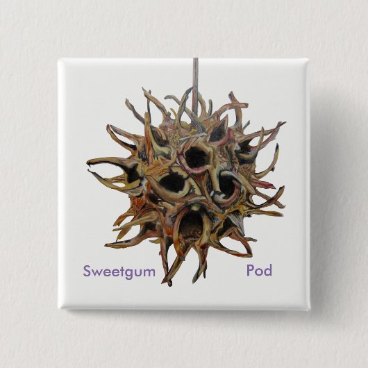 Sweetgum Pod Button (Voorkant)