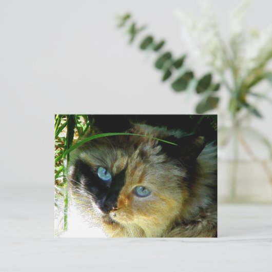 Sweetie Pie Briefkaart (Staand voorkant)