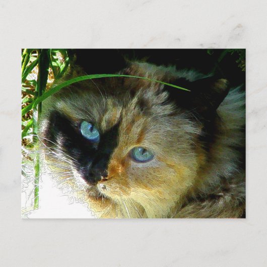 Sweetie Pie Briefkaart