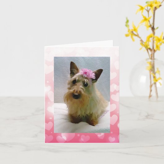 Sweetie Wheatie Kaart (Gele Bloem)