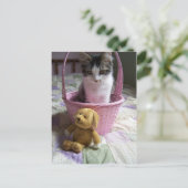 SweetieKitty Briefkaart (Staand voorkant)