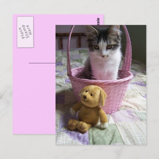 SweetieKitty Briefkaart (Voorkant / Achterkant)