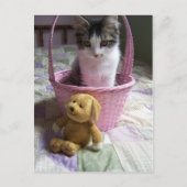 SweetieKitty Briefkaart (Voorkant)