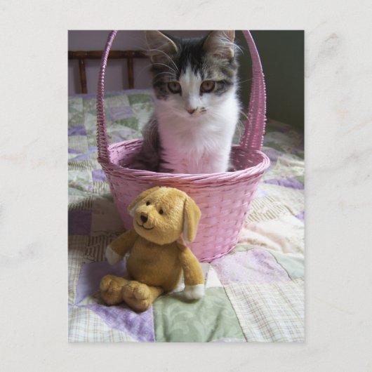 SweetieKitty Briefkaart (Voorkant)