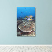 Sweetlip Fish Canvas Afdruk (Insitu (Houten vloer))