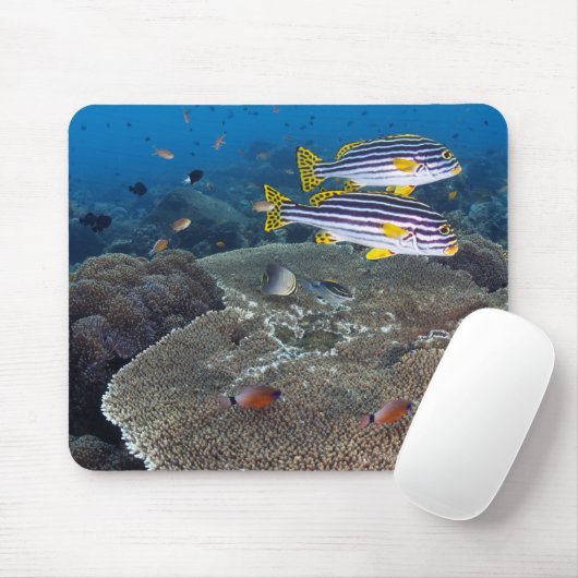 Sweetlip Fish Muismat (Met muis)