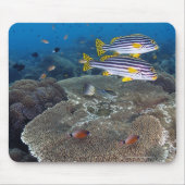 Sweetlip Fish Muismat (Voorkant)