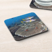Sweetlip Fish Onderzetter (Linkerzijde)