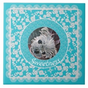 Sweetness-Aqua-Puppy-Square-CUSTOM-FOTO-SJABLOON- Tegeltje