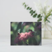 Sweetness Briefkaart (Staand voorkant)