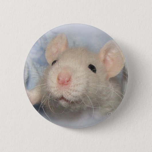 Sweetness Button (Voorkant)