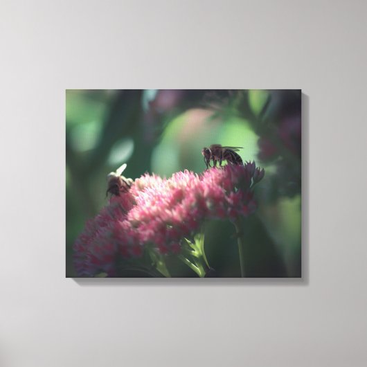 Sweetness Canvas Afdruk (Voorkant)