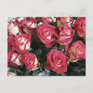 Sweetness Rose arrangement bij Hacienda Compania Briefkaart
