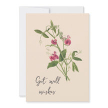 Sweetpea Flowers krijgen goed