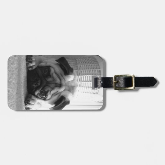 SweetPea Pugs Bagagelabel (Voorkant horizontaal)