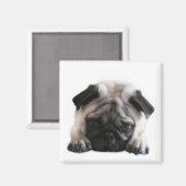 SweetPea Pugs vierkante koelkastmagneet Magneet (Voorkant / Achterkant)