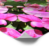 Sweetpeas in Love... Poster (Hoek)