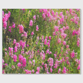 Sweetpeas on the hill.... cadeaupapier (Vlak)
