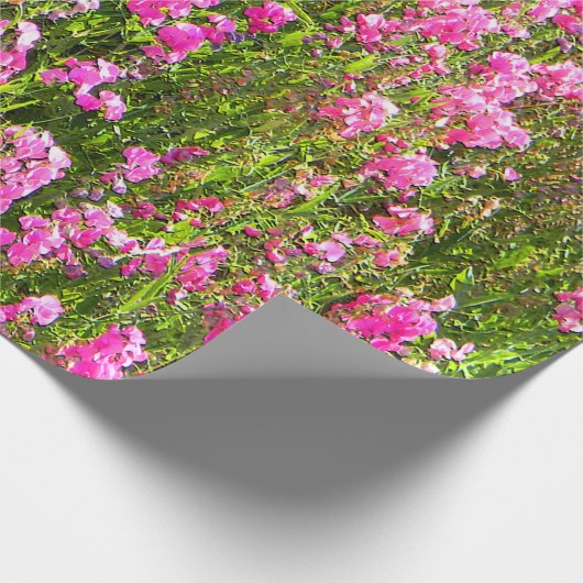 Sweetpeas on the hill.... cadeaupapier (Hoek)