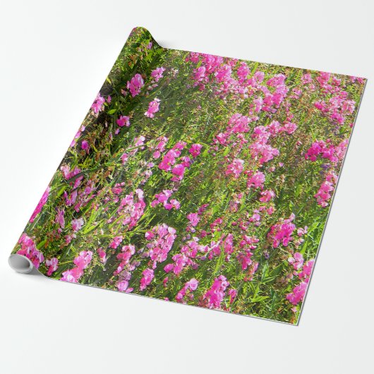 Sweetpeas on the hill.... cadeaupapier (Uitgerold)