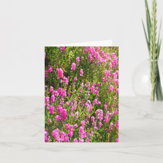 Sweetpeas on the hill.... kaart (Voorkant)