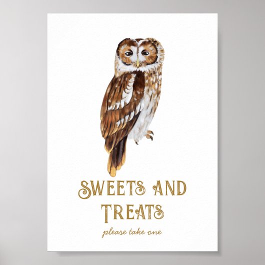 Sweets & Treats Uil Baby shower Poster (Voorkant)