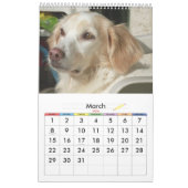 Sweety Doggie 2009 Calendar Kalender (Mar 2026)