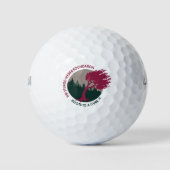 SWF Golfballen (Voorkant)