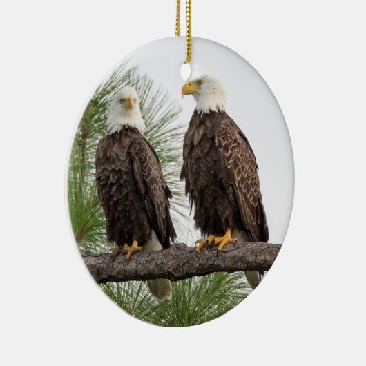 SWFEC H&O Ornament (Rechts)