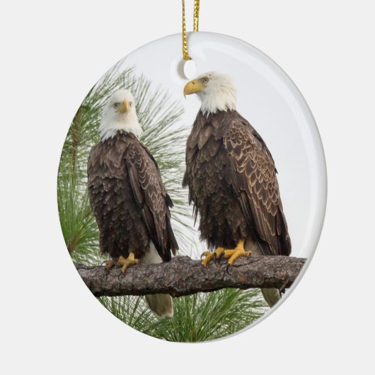 SWFEC H&O Ornament (Links)