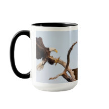 SWFEC krijgt Dichte Actie (diverse beschikbare opt