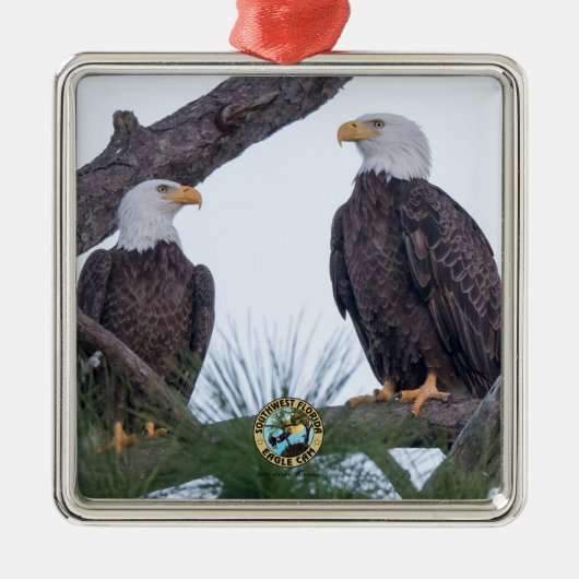 SWFL Eagle Cam Couple Goals Ornament (Voorkant)