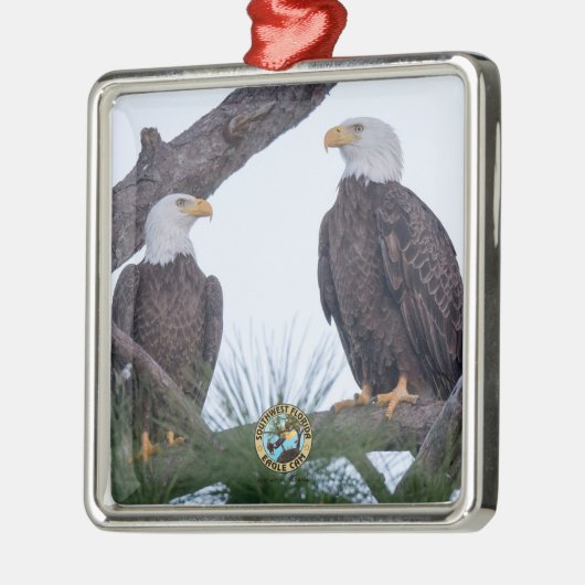 SWFL Eagle Cam Couple Goals Ornament (Links)