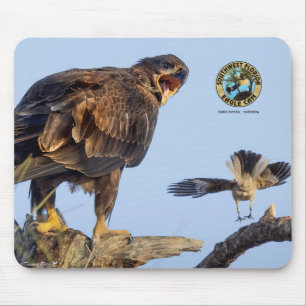 SWFL Eagle Cam Muismat- E22 & Vriend Muismat