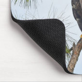 SWFL Eagle Cam Muismat- E23 Muismat (Hoek)