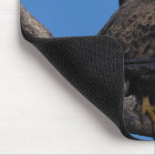 SWFL Eagle Cam Muismat - M15 & F23 (Hoek)