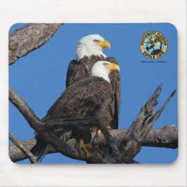 SWFL Eagle Cam Muismat - M15 & F23
