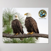 SWFL Eagle Cam Wall Poster (Voorkant)