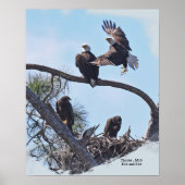 SWFL-reeks Portret E12, E13 Harriet en M15 Poster (Voorkant)