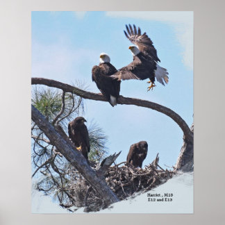 SWFL-reeks Portret E12, E13 Harriet en M15 Poster