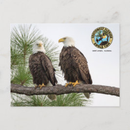 SWFLEagleCam-Briefkaart Briefkaart