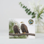 SWFLEagleCam-Briefkaart Briefkaart (Staand voorkant)