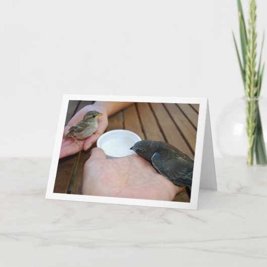 Swift Bird en Sparrow Bird op handen Kaart (Voorkant)