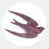 Swift Bird Stickers (Voorkant)