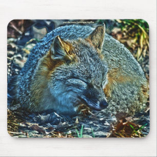 Swift Fox Asleep op Leaves Wildlife Mousepad Muismat