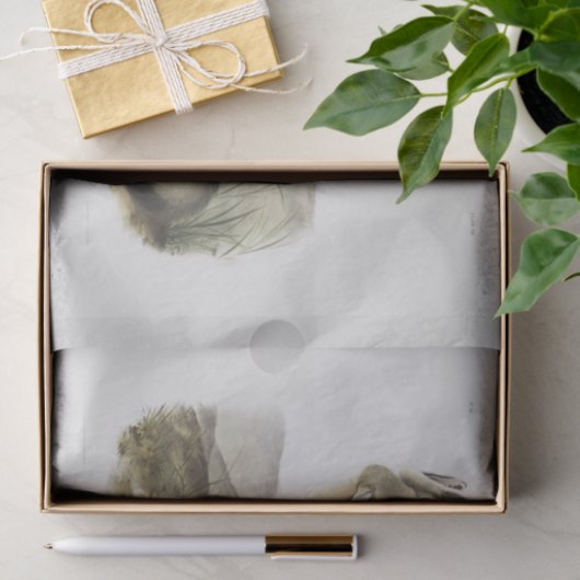 Swift Fox. Mannelijk. (Vulpes velox) Ontkoppeling Tissuepapier (Geschenk)