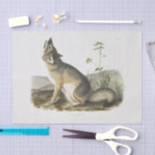 Swift Fox. Mannelijk. (Vulpes velox) Ontkoppeling Tissuepapier (Craft)