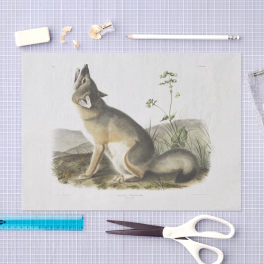 Swift Fox. Mannelijk. (Vulpes velox) Ontkoppeling Tissuepapier (Craft)